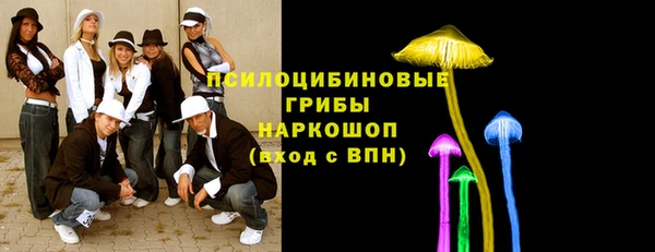 тгк Алексеевка