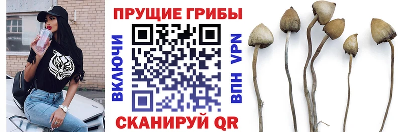 Галлюциногенные грибы ЛСД  Арамиль 